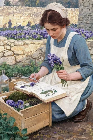 Violette historical or symbolic source image